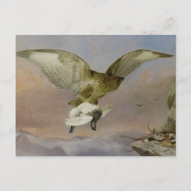 Postal Richard Ansdell Buzzard con Ptarmigan (Anverso)