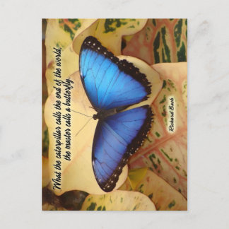 Postal Richard Bach-The Caterpillar