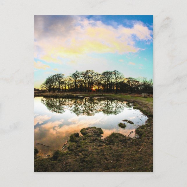 Postal Richmond Park, Londres (Anverso)