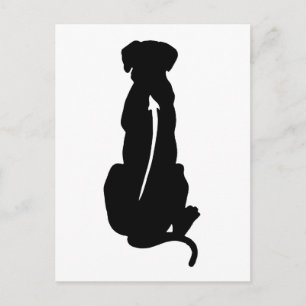 Postal Ridgeback Rhodesia Raza de Perro Spina
