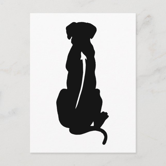 Postal Ridgeback Rhodesia Raza de Perro Spina (Anverso)