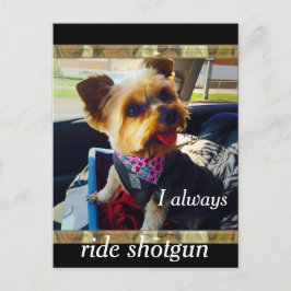 Postal Riding Shotgun Yorkie Personalize