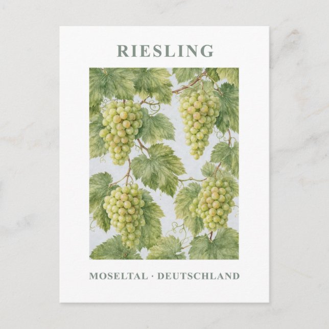 Postal Riesling Mosel Vintage Green Floral (Anverso)
