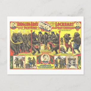 Postal Ringling Bros. Anuncio del circo de los comediante