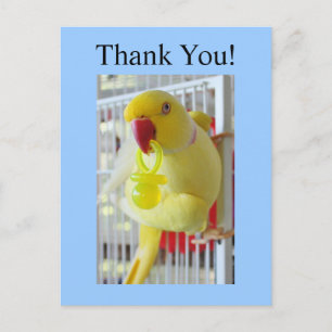 Postal Ringneck indio gracias Baby Shower
