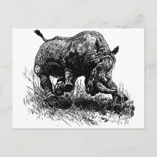 Postal Rinoceronte africano