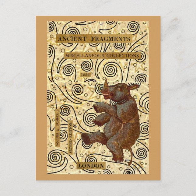 Postal Rinoceronte bailarín (Anverso)