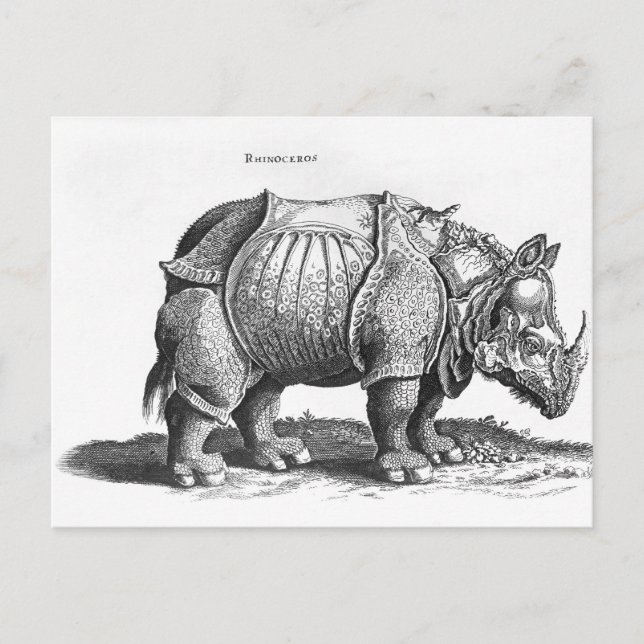 Postal Rinoceronte, de 'Historia Animalium (Anverso)