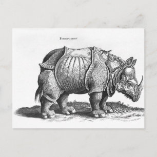 Postal Rinoceronte, de 'Historia Animalium