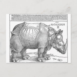 Postal Rinocerontes de Albrecht Durer