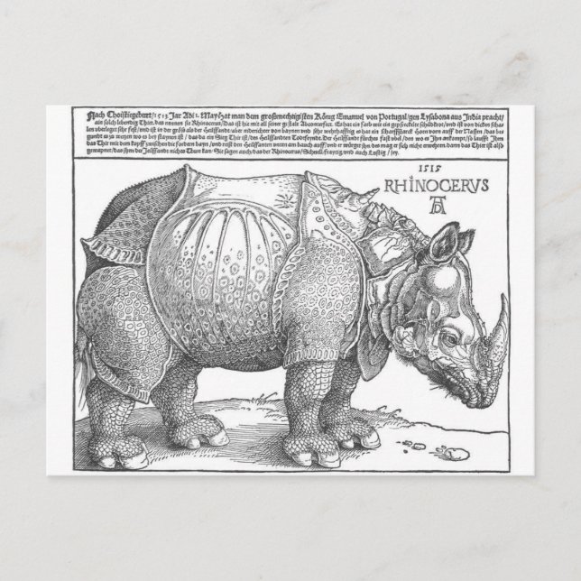 Postal Rinocerontes de Albrecht Durer (Anverso)
