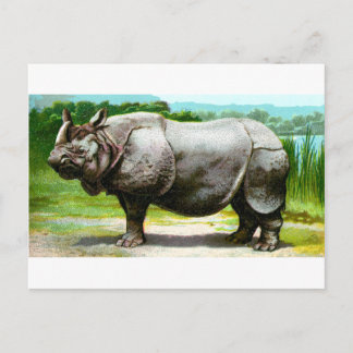 Postal Rinocerontes indios