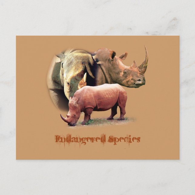 Postal Rinocerontes Las Cartas De Especies En Peligro (Anverso)
