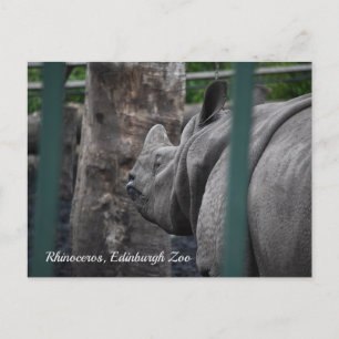 Postal Rinocerontes unicornios en el zoológico de Edimbur
