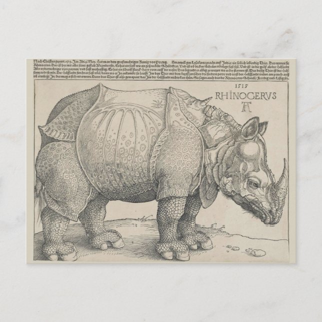 Postal Rinocerontes, Woodcut por Albrecht Durer (Anverso)