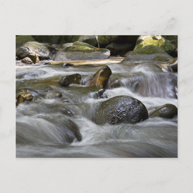 Postal Río (Anverso)