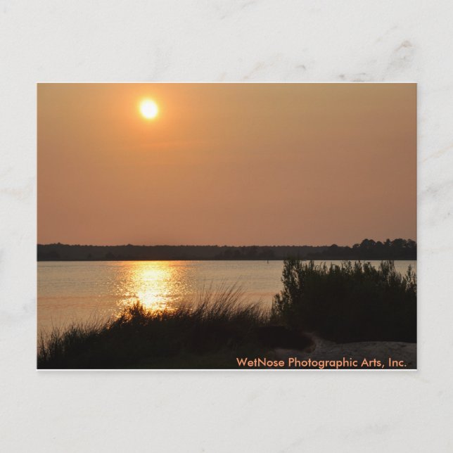 Postal Río Cape Fear (Anverso)