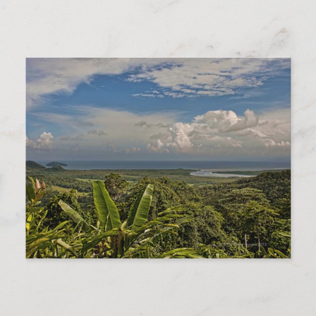 Postal Río Daintree en la selva tropical de (Anverso)