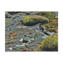 Río Dart en Dartmeet Dartmoor
