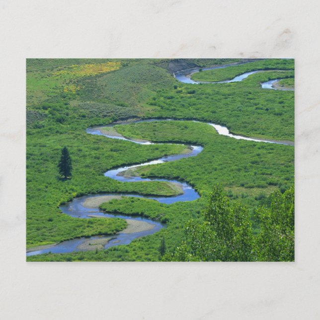 Postal Río East cerca de la ciudad de Crested Butte. (Anverso)