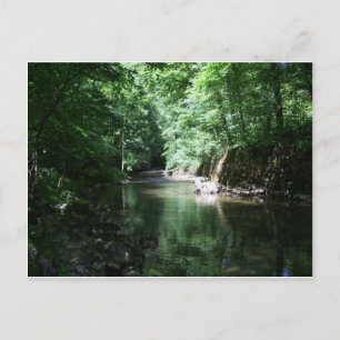 Postal río en el bosque croatia