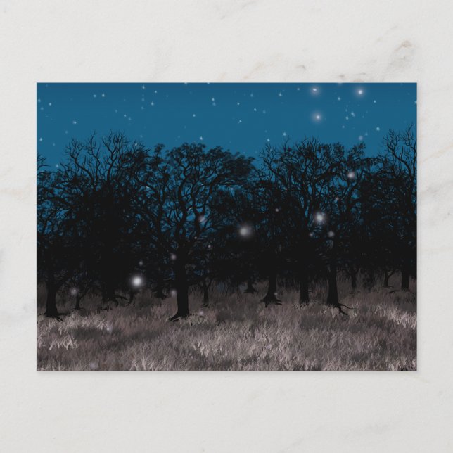 Postal Río Espíritu (Anverso)