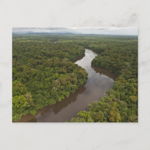 Postal Río Essequibo, el río más largo de Guyana, y 5