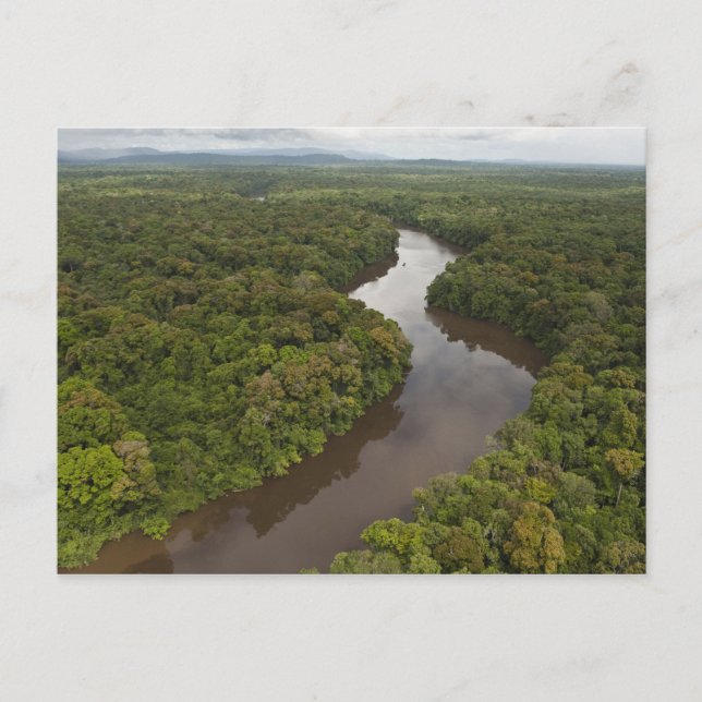 Postal Río Essequibo, río más largo de Guyana, y 5 (Anverso)