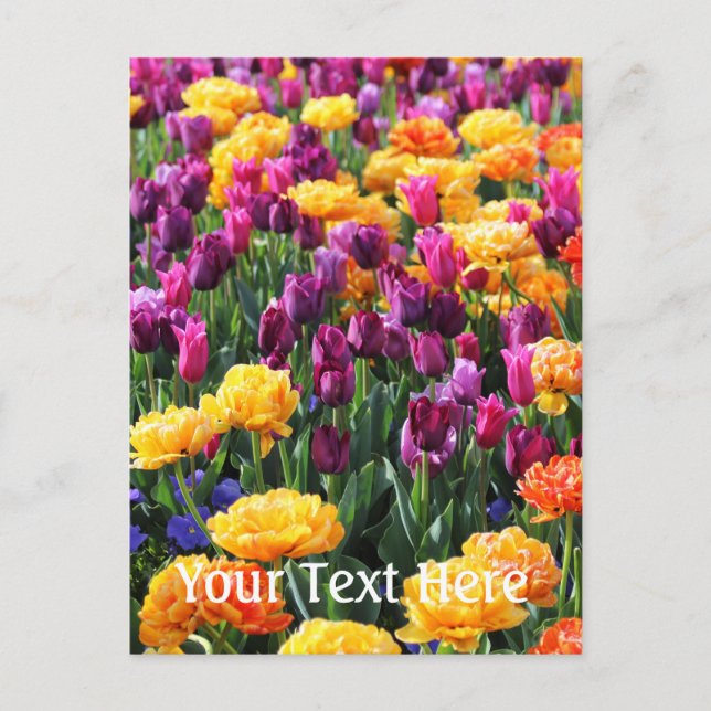 Postal Río Floral Falln Sunset (Anverso)