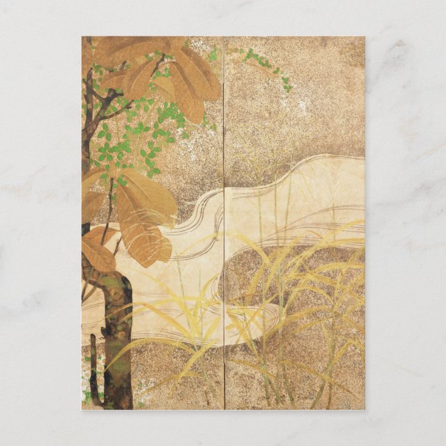 Postal Río Fluido (Anverso)