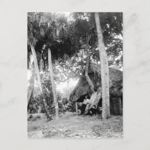 Postal Río Indio, Escape de Florida en los años 1890