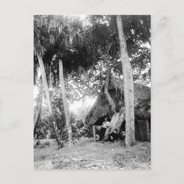 Postal Río Indio, Escape de Florida en los años 1890 (Anverso)