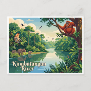 Postal Río Kinabatangan Sandakan Malasia