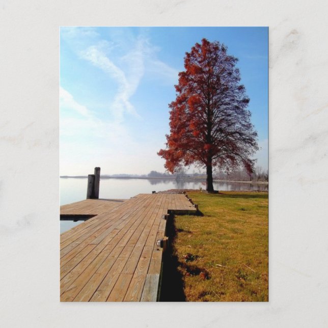Postal Río Maryland Waterfront-Nanticoke de Viena (Anverso)