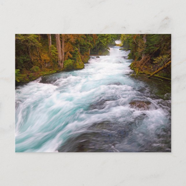 Postal Río McKenzie | Oregon (Anverso)