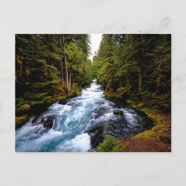 Postal Río McKenzie, Oregón, fotografía escénica (Anverso)