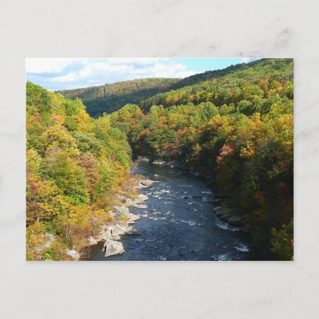 Postal Río Ohiopyle en otoño en Pensilvania (Anverso)