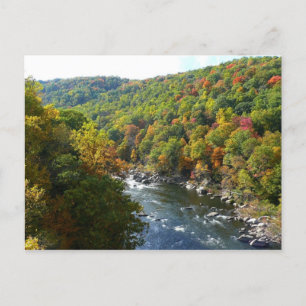 Postal Río Ohiopyle en otoño II en Pensilvania