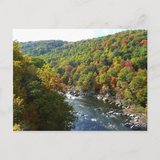 Postal Río Ohiopyle en otoño II en Pensilvania (Anverso)