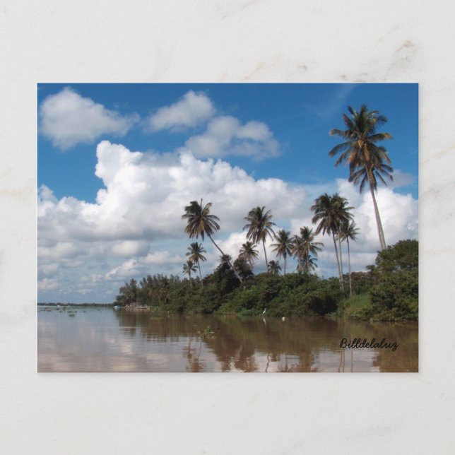 Postal Río Papaloapan, Veracruz (Anverso)
