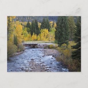 Postal Río Provo y árboles de álamo temblón