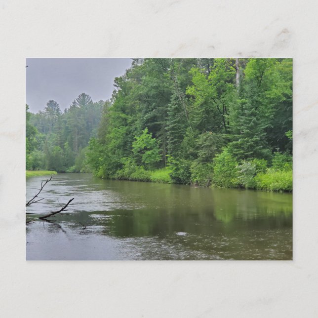 Postal Río Rifle, Rama Oeste, Michigan (Anverso)