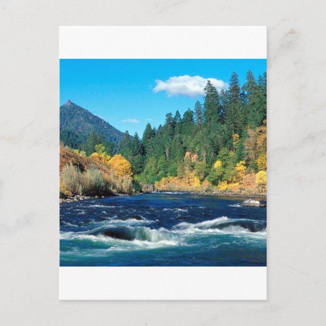 Postal Río Rogue Bosque Siskiyou Oregon (Anverso)