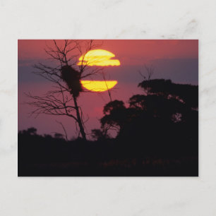 Postal Río Sabi al atardecer, Parque Nacional Kruger