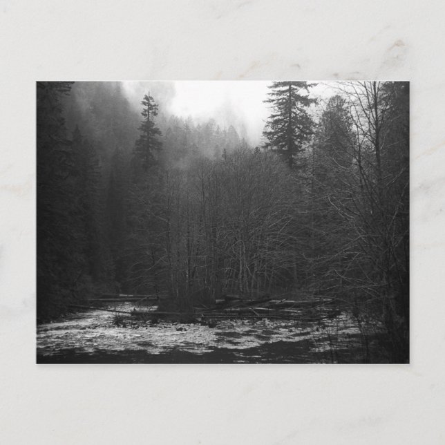 Postal - Río Salmón, Oregón (Anverso)