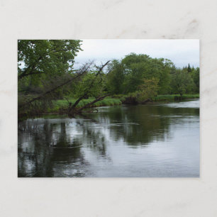 Postal Río Saranac Foto del río y los árboles de Adironda