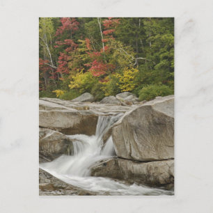 Postal Río Swift en cascada a través de rocas, Blanco