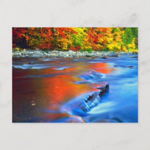 Postal Río Swift reflejando colores de otoño