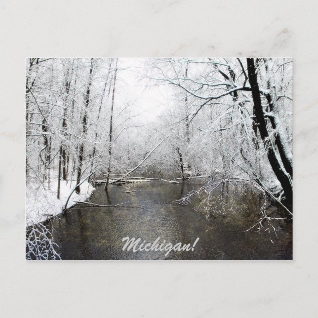 Postal Río Trout (Anverso)