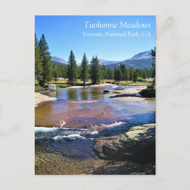Postal Río Tuolumne en Tuolumne Meadows, Yosemite, CA P (Anverso)